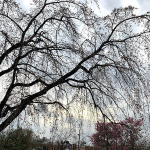 Meet your Posher, Amruta